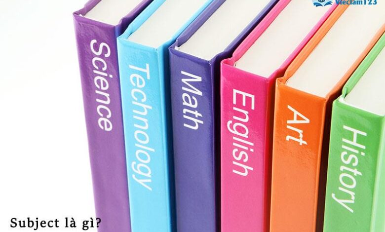 Subject là gì? Ý nghĩa của Subject trong tiếng Anh là gì? - Vieclam123