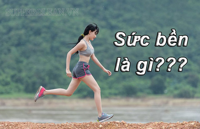 Sức Bền Là Gì? Có Mấy Loại Sức Bền - Đặc Trưng Và Ví Dụ Về Sức Bền