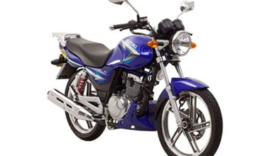 Suzuki En 150