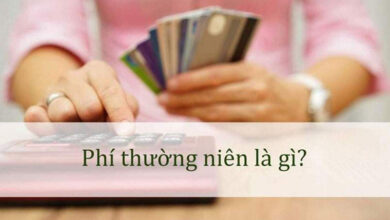 Tra Cứu Số Tài Khoản Thu Phí Thường Niên BIDV Nhanh Nhất