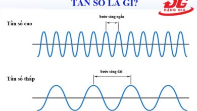 Tần số là gì? Những hiểu biết cơ bản về tần số mà bạn nên biết