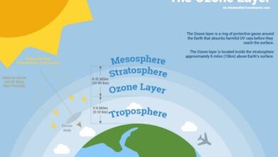 Tầng ozon là gì? Vai trò và lý do tại sao tầng ozone bị thủng