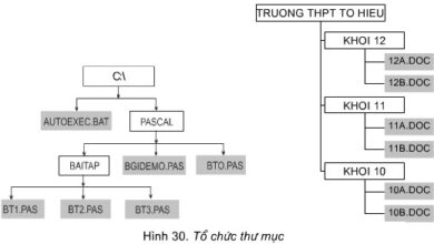 Lý thuyết: Tệp và quản lí tệp trang 64 SGK Tin học 10 - Loigiaihay.com