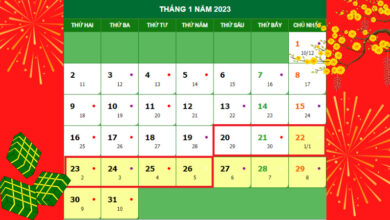 Mùng 1 Tết Quý Mão 2023 là ngày mấy dương lịch? - Bách hóa XANH