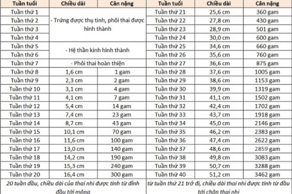 Thai 18 tuần nặng bao nhiêu thì đạt chuẩn?