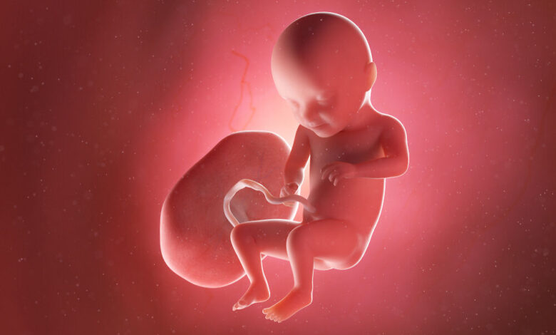 Sự phát triển của thai 31 tuần và thay đổi trong cơ thể mẹ - MarryBaby