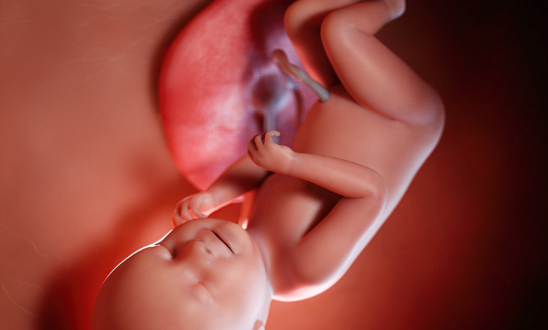Thai 38 tuần: Sự phát triển của bé và dấu hiệu chuyển dạ - MarryBaby