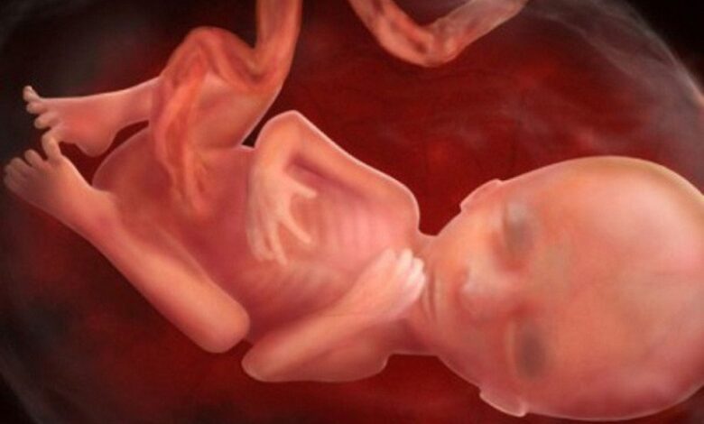 Nhận biết dấu hiệu thai lưu và cách phòng tránh | Medlatec