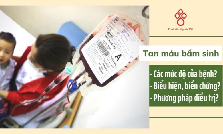 Tan máu bẩm sinh (thalassemia) là gì và điều trị như thế nào?