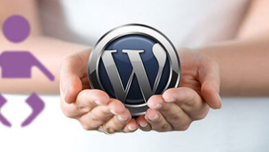 Theme là gì? Phân loại theme miễn phí và trả phí cho Wordpress