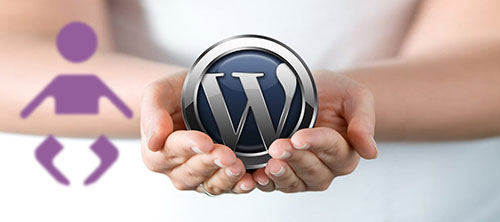 Theme là gì? Phân loại theme miễn phí và trả phí cho Wordpress