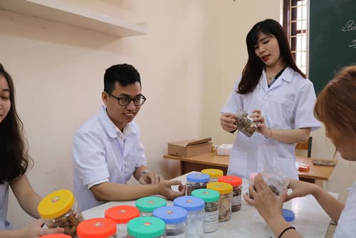 Học Ngành Dược Thi Khối Nào Để Được Xét Tuyển?