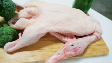 100g thịt vịt có bao nhiêu calo? Ăn thịt vịt có mập không?
