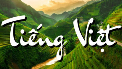 Tiếng Việt là gì ? Nguồn gốc và vai trò của tiếng Việt - Lôi phong