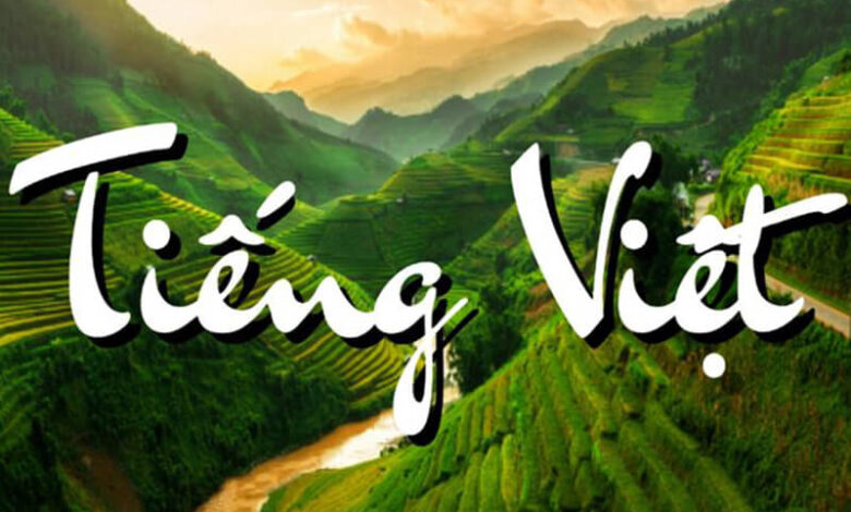 Tiếng Việt là gì ? Nguồn gốc và vai trò của tiếng Việt - Lôi phong
