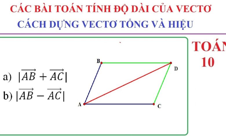 Cách tính độ dài vecto toán 10 dễ hiểu và chi tiết nhất - Vuihoc.vn