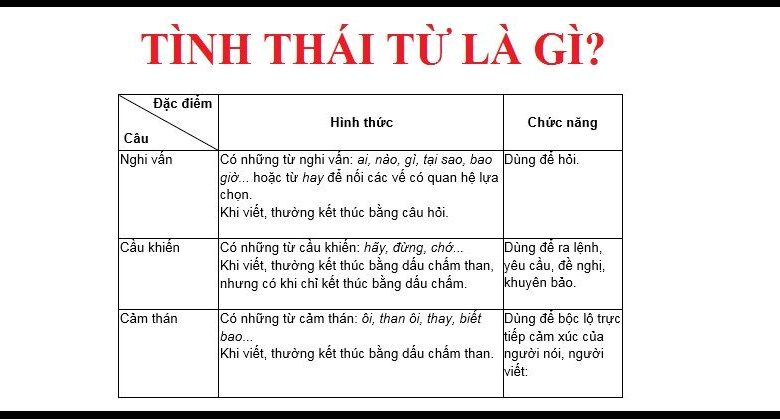 Tình thái từ là gì? Tác dụng, phân loại và ví dụ minh họa