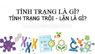 Tính trạng là gì? Tính trạng trội - lặn là gì? & các kiến thức liên quan
