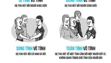 Toàn tính và Song tính: Khám phá sự khác biệt và tầm quan trọng trong tình yêu