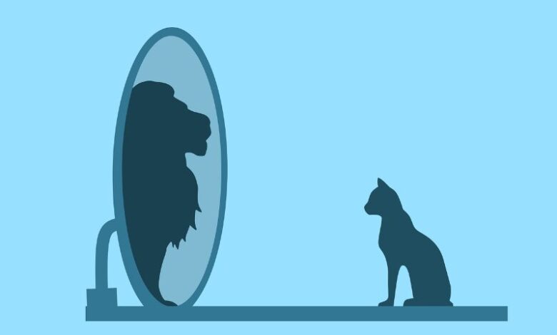 Cái Tôi Là Gì Và Cái Tôi Quá Lớn Có Tốt Hay Không?