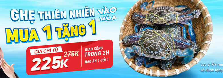 【Cập nhật】Tôm hùm giá bao nhiêu 1 kg? Giá tôm hùm hôm nay