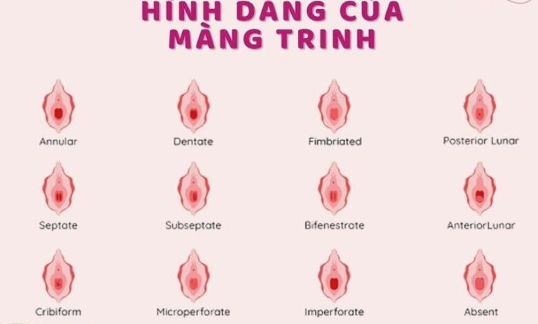 Mất Trinh Là Gì? 5 Dấu Hiệu Mất Trinh & Nguyên Nhân | Kotex