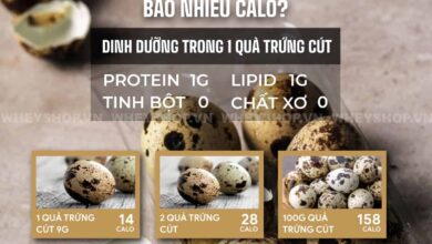 Giải đáp: Trứng cút bao nhiêu calo?Ăn trứng cút có mập không