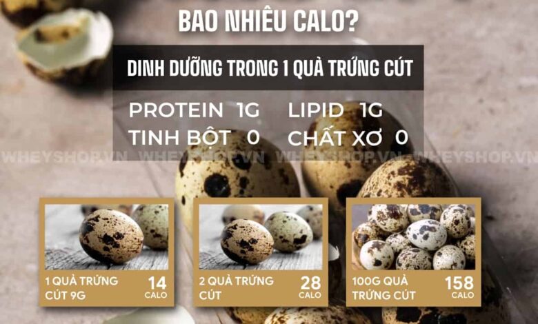 Giải đáp: Trứng cút bao nhiêu calo?Ăn trứng cút có mập không