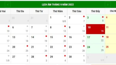 Tết Trung thu 2022 vào ngày nào? - Hoatieu.vn