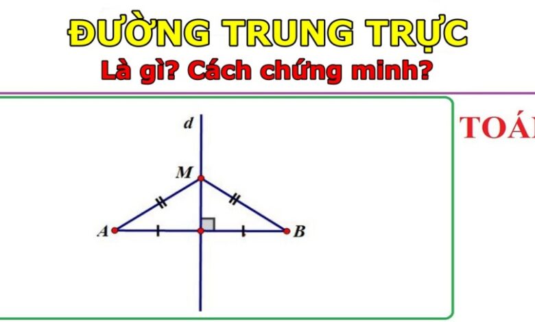 Đường trung trực: Khám phá và chứng minh