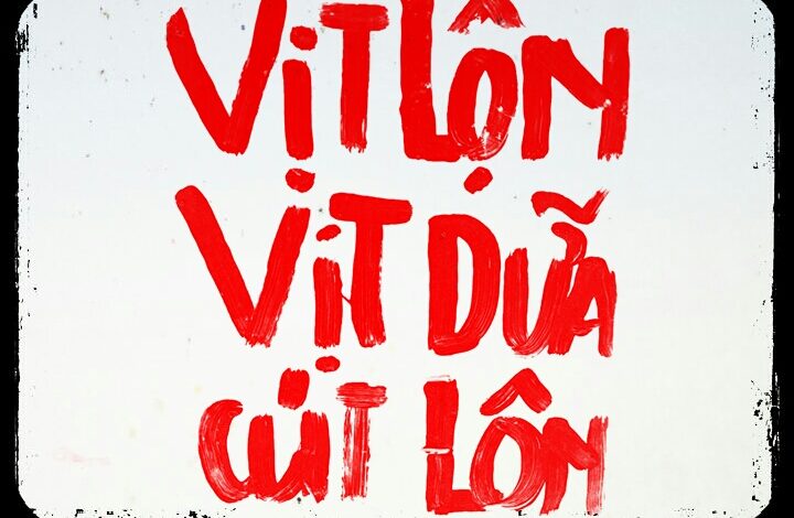 Trứng Vịt Lạc Là Gì - M & Tôi