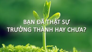 Trưởng thành là khi ta trưởng thành thật sự - Karofi.com