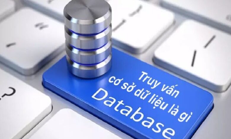 Truy Vấn Cơ Sở Dữ Liệu Là Gì? Làm Thế Nào Quản Trị Cơ Sở Dữ