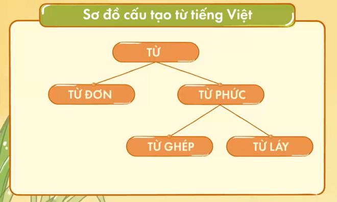 Từ đơn là gì, cách phân biệt từ đơn với từ láy, từ phức - Báo Đà Nẵng