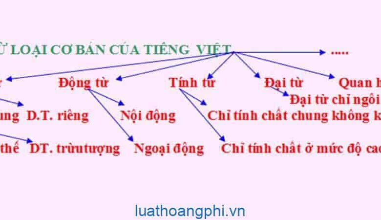 Từ loại là gì? Ví dụ về từ loại - Luật Hoàng Phi