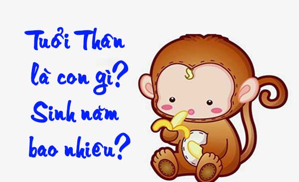 Tuổi Thân Là Tuổi Con Gì? Sinh Năm Bao Nhiêu?