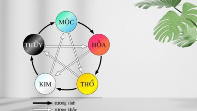 Tương sinh là gì? Các mệnh tương sinh trong ngũ hành - Vansu.net