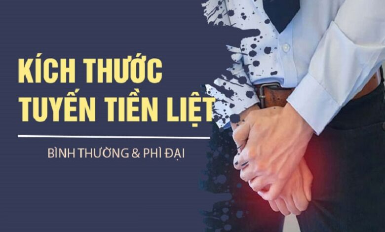 Kích thước tiền liệt tuyến và những điều có thể bạn chưa biết