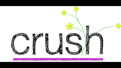 Crush là gì? uncrush nghĩa là gì? - chicagomapfair.com