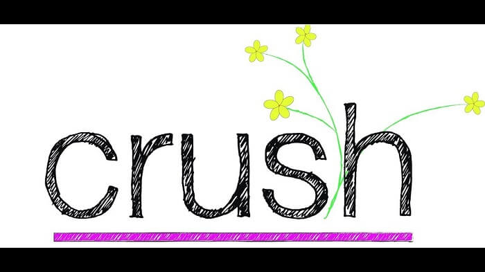 Crush là gì? uncrush nghĩa là gì? - chicagomapfair.com