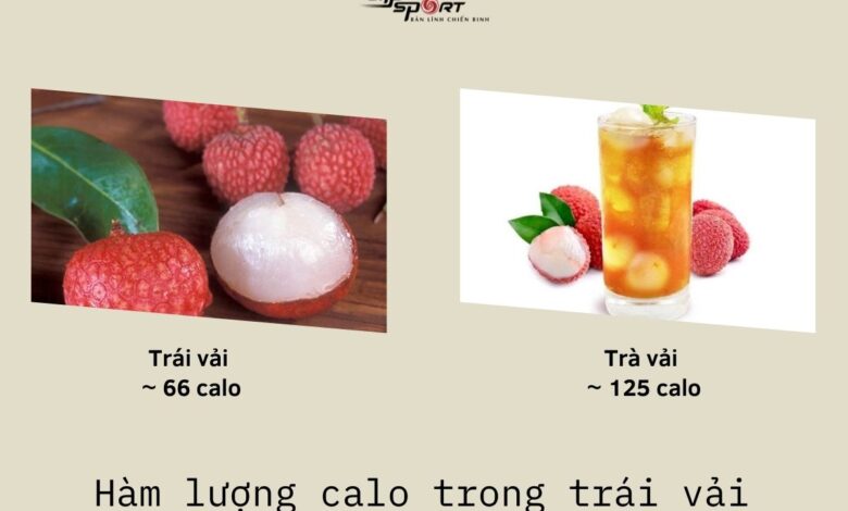 Trái vải bao nhiêu calo? Ăn vải có béo không? - Elipsport