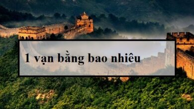 1 vạn là bao nhiêu? Ứng dụng của đơn vị vạn trong cuộc sống