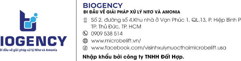 Vi sinh vật là gì? Đặc điểm và vai trò của nó? | Quantum Growth