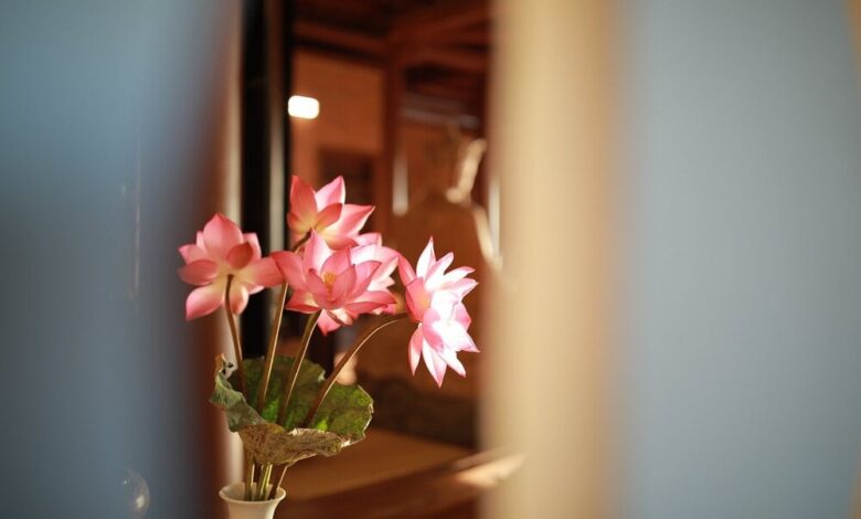 Ý nghĩa vô thường - Phật giáo