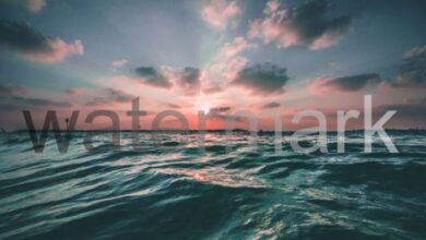 Watermark là gì? Những điều ta nên biết về watermark