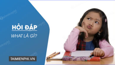 What là gì? What nghĩa là gì trong tiếng Anh, tiếng Việt? - Thủ thuật