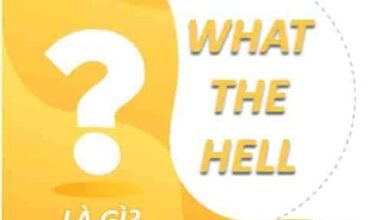 What the hell là gì? - Luật Hoàng Phi