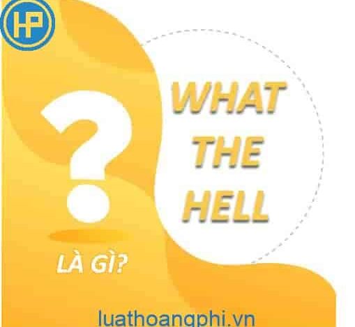 What the hell là gì? - Luật Hoàng Phi