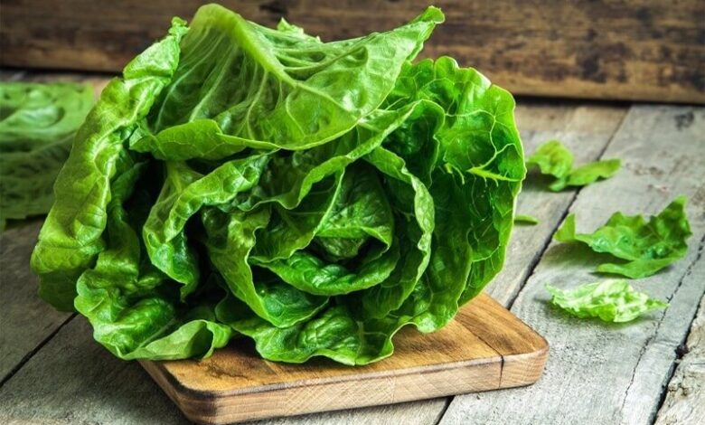 Rau xà lách bao nhiêu calo? Ăn rau xà lách có tác dụng gì?