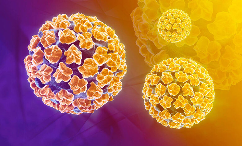 Xét nghiệm HPV giá bao nhiêu, quy trình như thế nào? | Medlatec